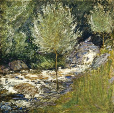 Horseneck Falls, Greenwich, Connecticut, av John Henry Twachtman