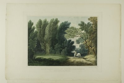 Utsikt over stedet hvor general Ross falt, nær Baltimore, tallerken seks av det første antallet pittoreske utsikter over amerikansk natur av John Hill