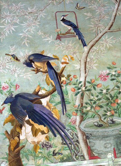 Et par magpie jays kuttet fra 
