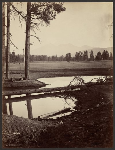  av John K. Hillers