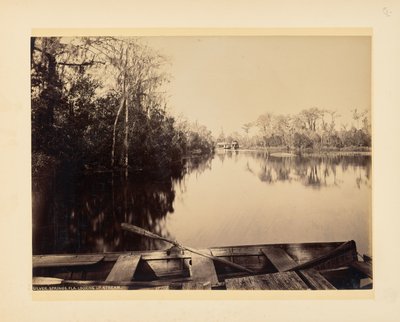  av John K. Hillers
