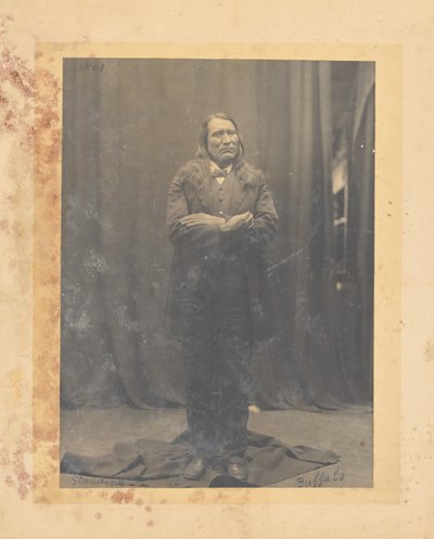 Stehender Büffel av John K. Hillers