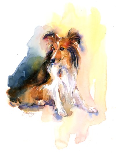 Sheltie-portrett, 2015, (akvarell) av John Keeling