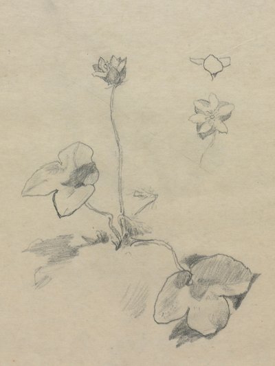  av John La Farge