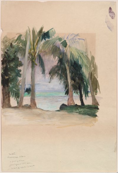 Palmer ved havet av John La Farge