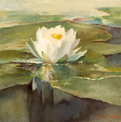 Vannlilje i sollys, ca. 1883. av John La Farge