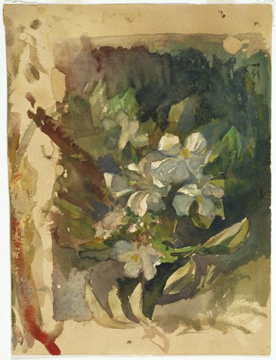 Epleblomstrer i sollys (wc på papir) av John La Farge or Lafarge
