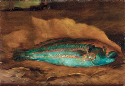 Studie av papegøyefisken, Samoa, 1890 av John La Farge or Lafarge