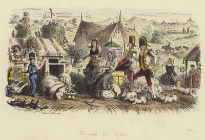 Oppdrett for damer av John Leech