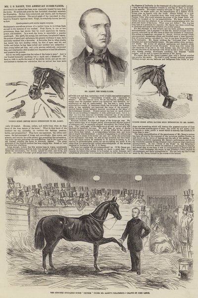 Mr J S Rarey, den amerikanske hestetemmeren av John Leech