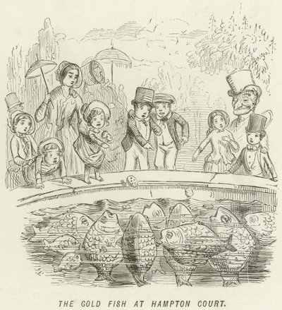 Gullfisken på Hampton Court av John Leech