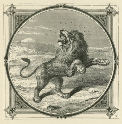 Myggen stikker øynene til løven (gravering) av John Leighton