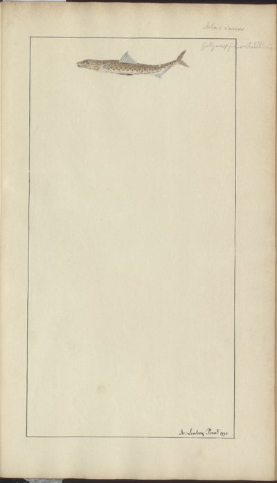 Lindsay Drawings Vol. VII, 23 av John Lindsay