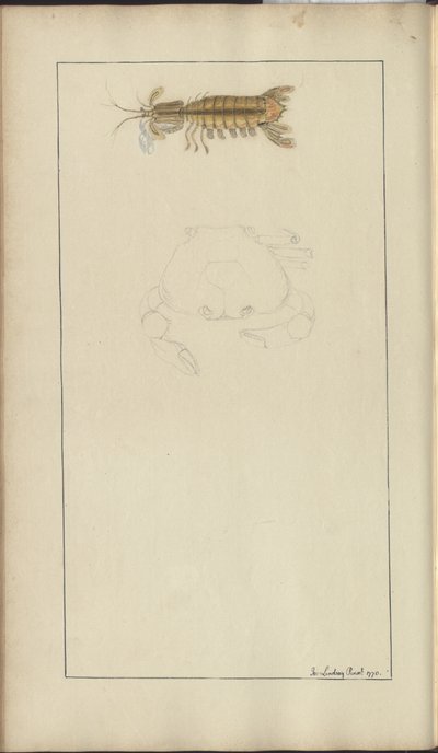 Lindsay Drawings Vol. VII, 24 av John Lindsay