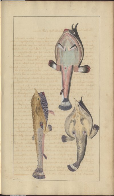 Lindsay Drawings Vol. VII, 27 av John Lindsay