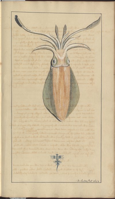 Lindsay Drawings Vol. VII, 29 av John Lindsay
