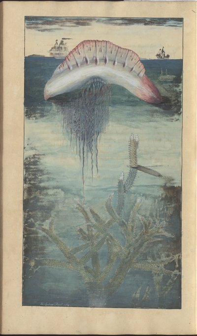 Lindsay Drawings Vol. VII, 30 av John Lindsay