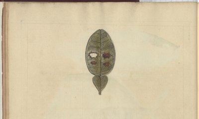 Lindsay Drawings Vol. VII, 3 av John Lindsay