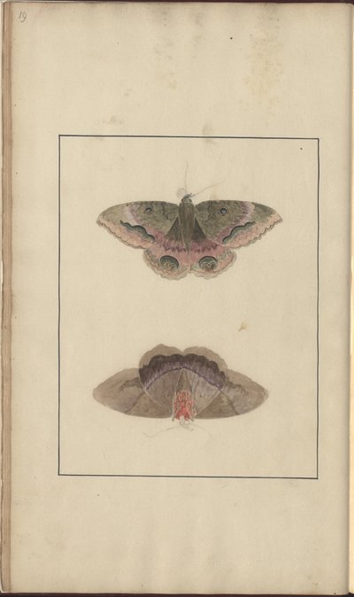 Lindsay Drawings Vol. VI av John Lindsay