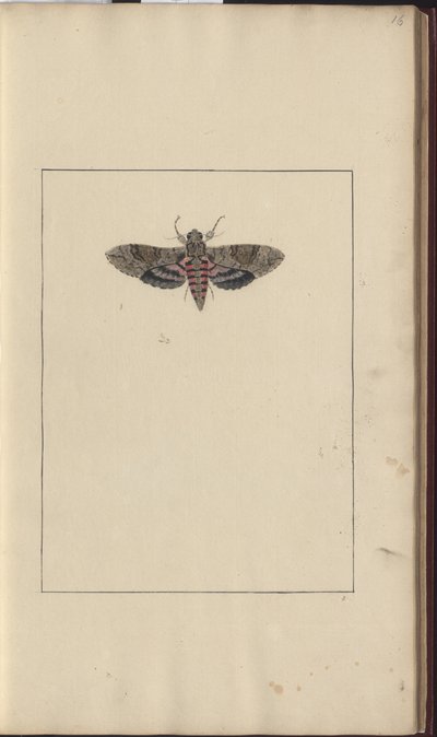 Lindsay Drawings Vol. VI av John Lindsay