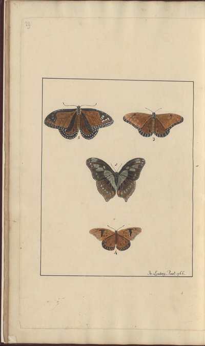 Lindsay Drawings Vol. VI, 29 av John Lindsay