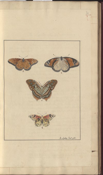 Lindsay Drawings Vol. VI, 30 av John Lindsay