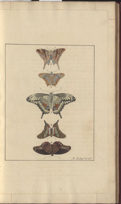 Lindsay Drawings Vol. VI, 32 av John Lindsay
