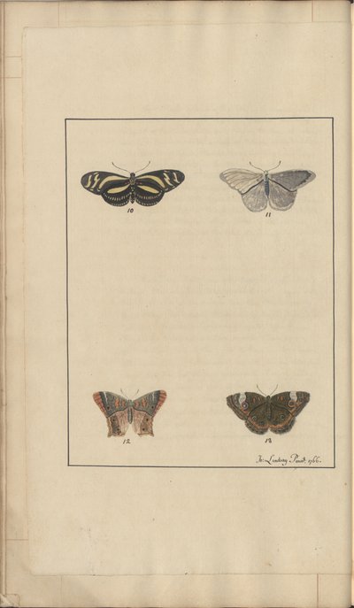 Lindsay Drawings Vol. VI, 35 av John Lindsay