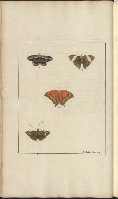 Lindsay Drawings Vol. VI, 41 av John Lindsay