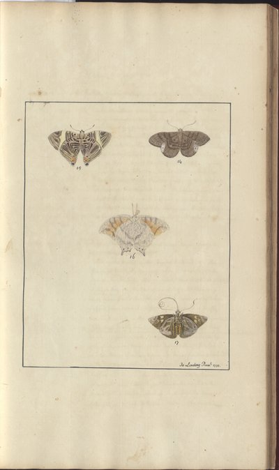 Lindsay Drawings Vol. VI, 42 av John Lindsay