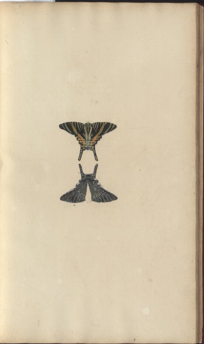 Lindsay Drawings Vol. VI, 48 av John Lindsay