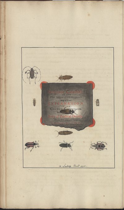 Lindsay Drawings Vol. VI, 95 av John Lindsay