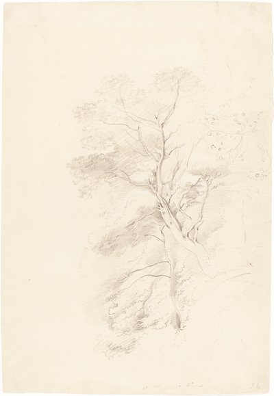 En bøkeskog av John Linnell