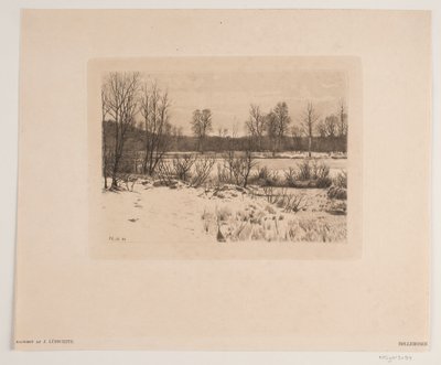 Mobbemyr av John Lübschitz