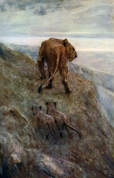 På vakt - Løvinne og unger, c1878-1910, 1912. av John Macallan Swan
