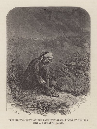 Illustrasjon for store forventninger av John McLenan