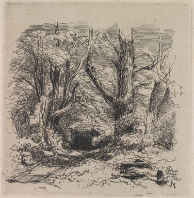 En vei gjennom skogen av John Middleton