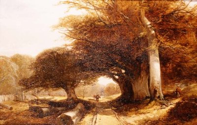 Skoglandskap av John Middleton