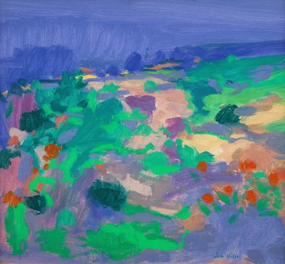 Algarve landskap av John Miller