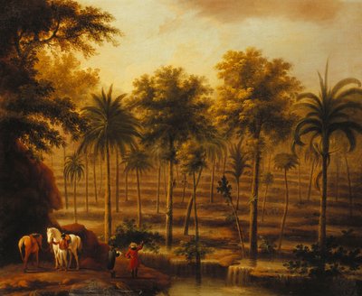 Utsikt over Roaring River Cascades, Jamaica av John Milton