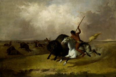 Buffalo Hunt on the Southwestern Prairies, 1845. av John Mix Stanley