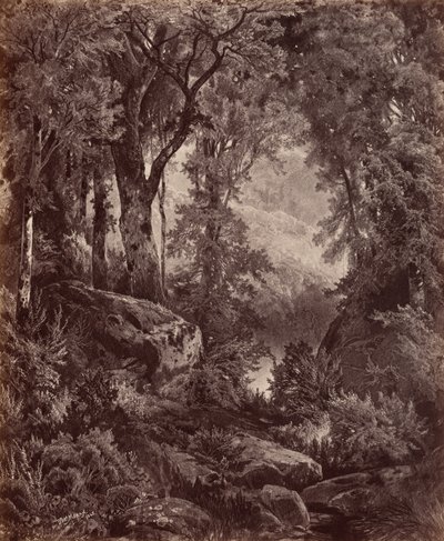  av John Moran