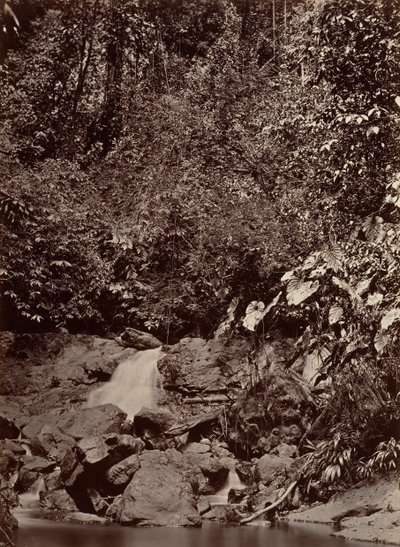 Tropisk landskap, Cascade, Limon River, 1871. av John Moran