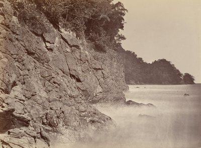 Tropisk natur, Cliff - Limon Bay, 1871. av John Moran
