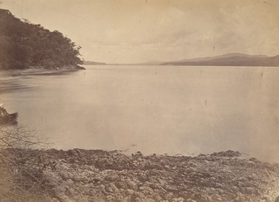 Tropical Scenery, Darien Harbour - Looking South, 1871. av John Moran