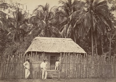 Tropisk landskap, Native Hut, Turbo, 1871. av John Moran