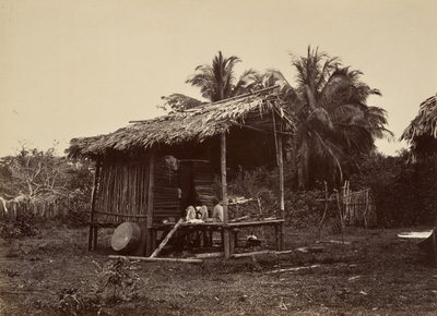 Tropisk natur, Native Hut, Turbo, 1871. av John Moran