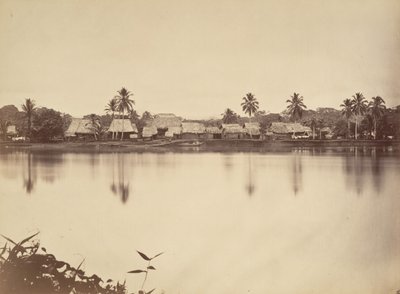 Tropisk landskap, Santa Maria del Real, Darien, 1871. av John Moran