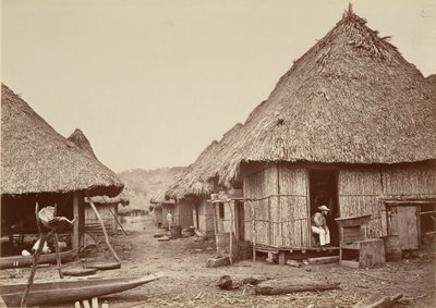 Tropical Scenery, Street, Chipigana, 1871. av John Moran
