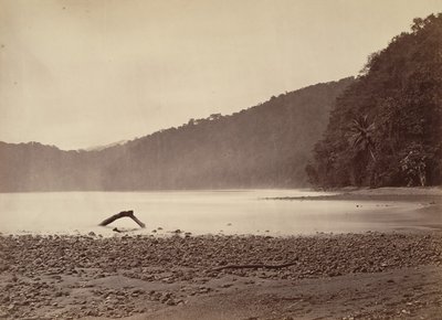 Tropisk natur, endestasjonen til den foreslåtte kanalen, Limon Bay, 1871. av John Moran